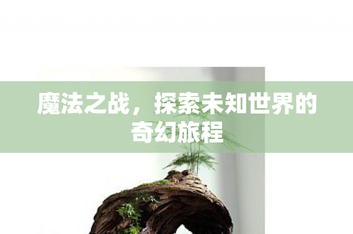 魔法之战，探索未知世界的奇幻旅程