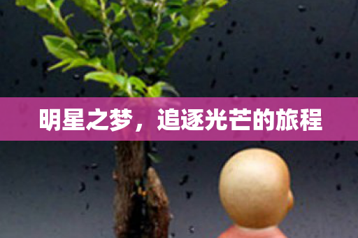 明星之梦，追逐光芒的旅程