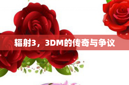 辐射3，3DM的传奇与争议
