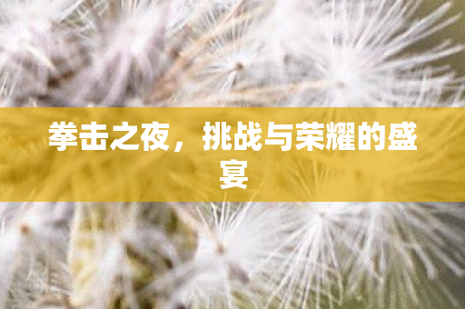 拳击之夜，挑战与荣耀的盛宴