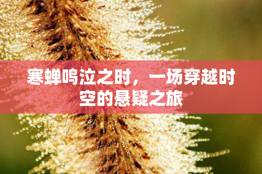 寒蝉鸣泣之时，一场穿越时空的悬疑之旅