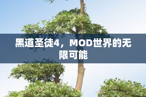 黑道圣徒4，MOD世界的无限可能