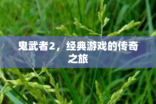 鬼武者2，经典游戏的传奇之旅