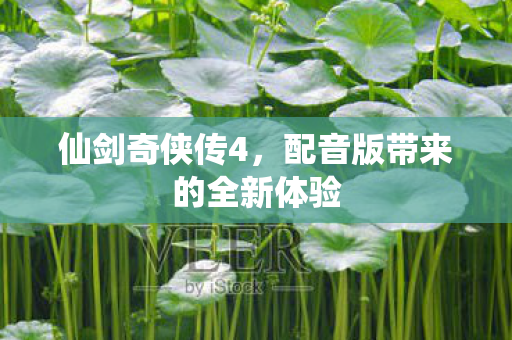 仙剑奇侠传4，配音版带来的全新体验