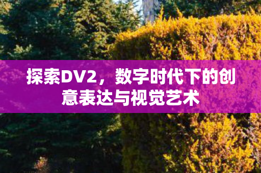 探索DV2，数字时代下的创意表达与视觉艺术
