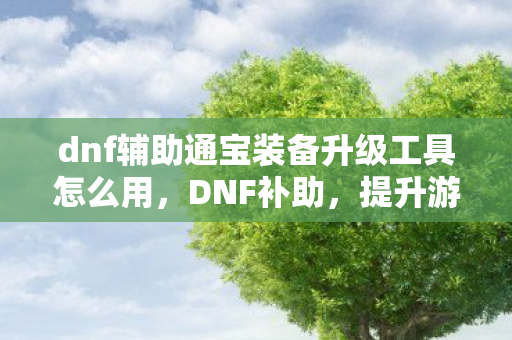 dnf辅助通宝装备升级工具怎么用图片