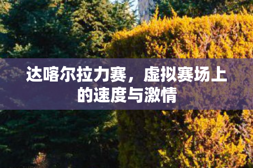 达喀尔拉力赛，虚拟赛场上的速度与激情