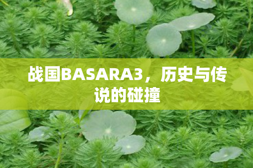 战国BASARA3，历史与传说的碰撞