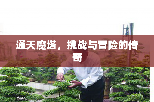 挑战与冒险的传奇图片