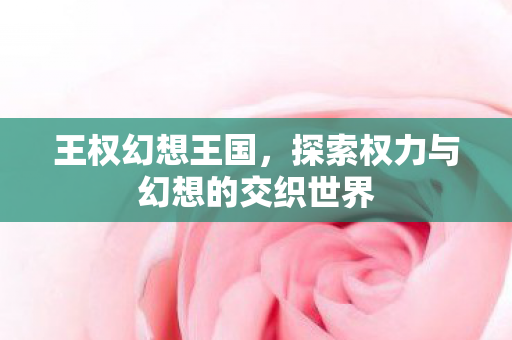 王权幻想王国，探索权力与幻想的交织世界