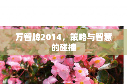 万智牌2014，策略与智慧的碰撞