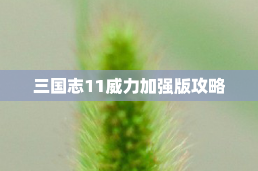 三国志11威力加强版攻略