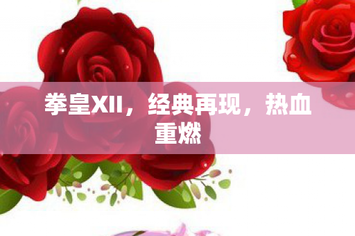 拳皇XII图片