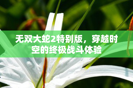 穿越时空的终极战斗体验图片