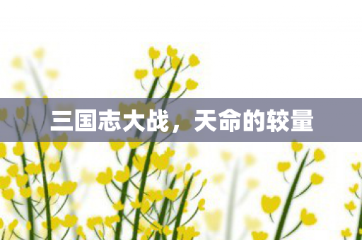 三国志大战，天命的较量