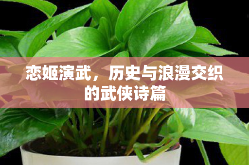 历史与浪漫交织的武侠诗篇图片