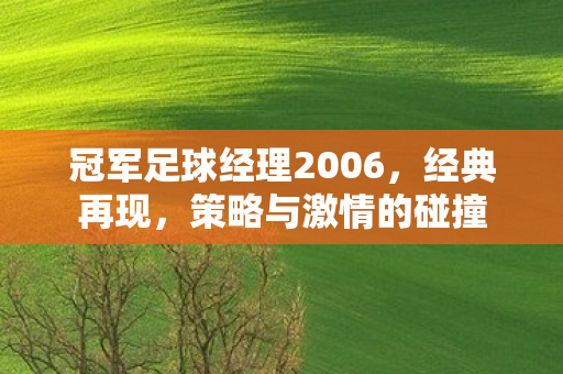 冠军足球经理2006，经典再现，策略与激情的碰撞