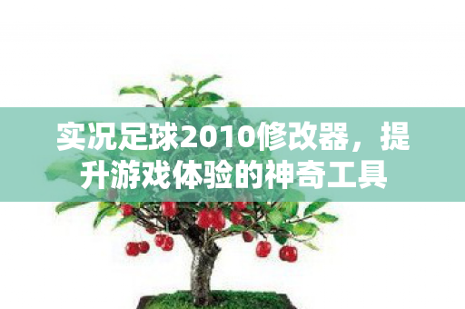 实况足球2010修改器，提升游戏体验的神奇工具
