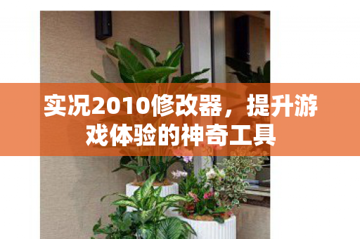 提升游戏体验的神奇工具图片