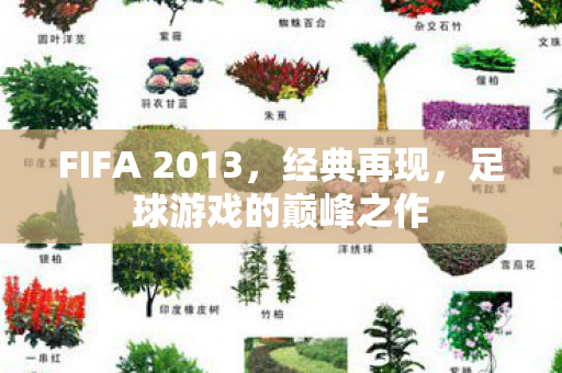 FIFA 2013，经典再现，足球游戏的巅峰之作