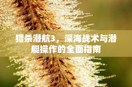 猎杀潜航3，深海战术与潜艇操作的全面指南