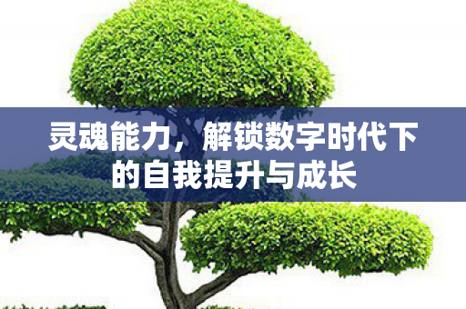 灵魂能力，解锁数字时代下的自我提升与成长