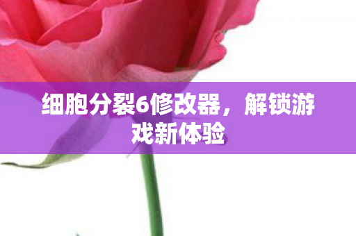 细胞分裂6修改器图片