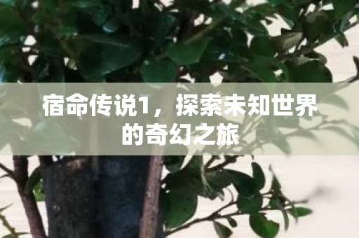 宿命传说1，探索未知世界的奇幻之旅