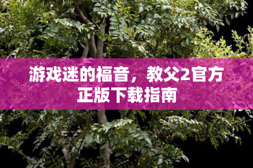 游戏迷的福音，教父2官方正版下载指南