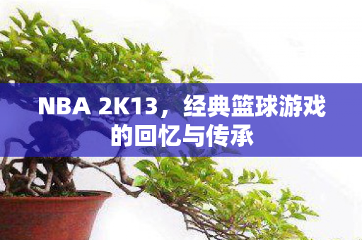 NBA 2K13，经典篮球游戏的回忆与传承