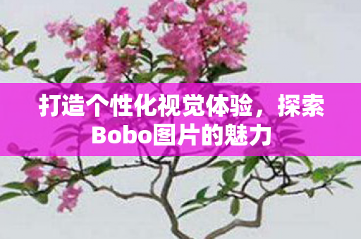 打造个性化视觉体验，探索Bobo图片的魅力