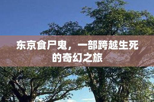 东京食尸鬼，一部跨越生死的奇幻之旅