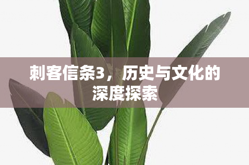 历史与文化的深度探索图片