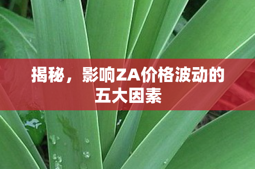 揭秘，影响ZA价格波动的五大因素