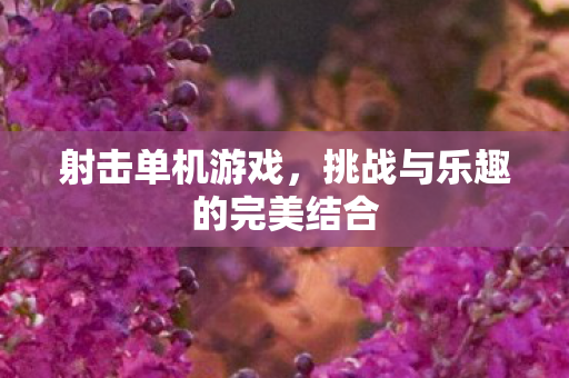 射击单机游戏，挑战与乐趣的完美结合