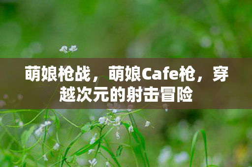 萌娘枪战，萌娘Cafe枪，穿越次元的射击冒险