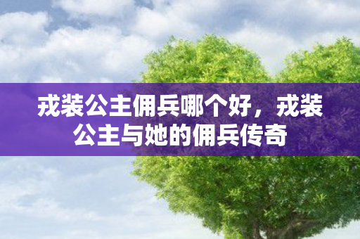 戎装公主佣兵哪个好，戎装公主与她的佣兵传奇