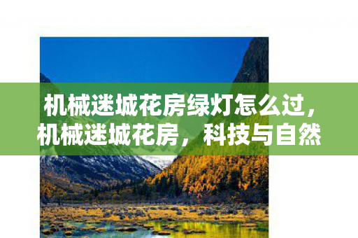 机械迷城花房绿灯怎么过，机械迷城花房，科技与自然的和谐共生