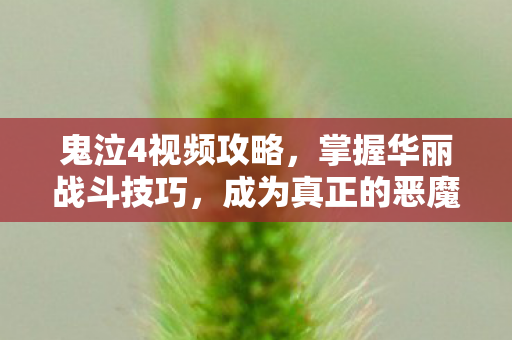 鬼泣4视频攻略，掌握华丽战斗技巧，成为真正的恶魔猎人