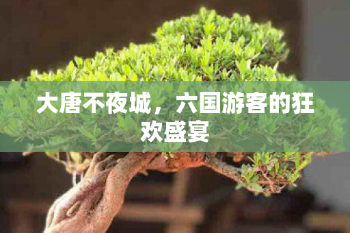 大唐不夜城，六国游客的狂欢盛宴