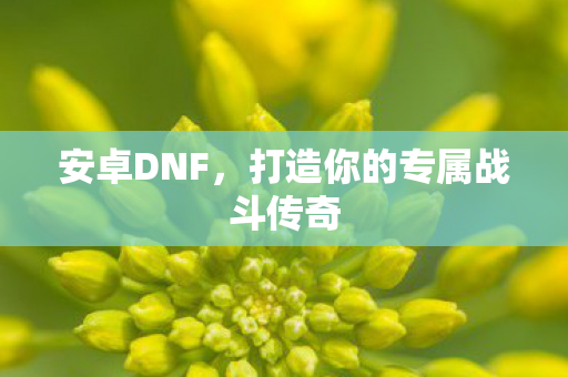 安卓DNF，打造你的专属战斗传奇