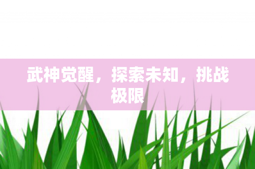 武神觉醒，探索未知，挑战极限