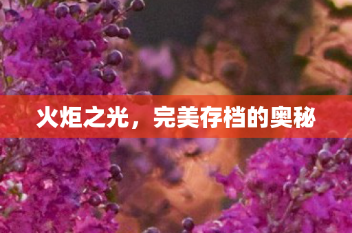 完美存档的奥秘图片