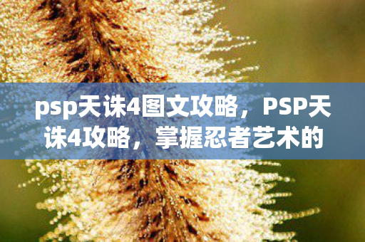 psp天诛4图文攻略，PSP天诛4攻略，掌握忍者艺术的极致