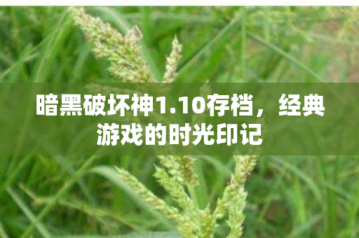 暗黑破坏神1.10存档，经典游戏的时光印记