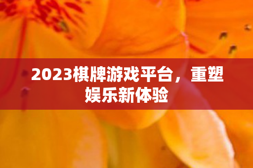 2023棋牌游戏平台，重塑娱乐新体验