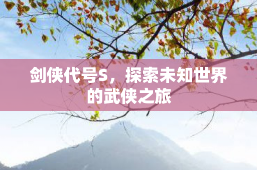 剑侠代号S，探索未知世界的武侠之旅