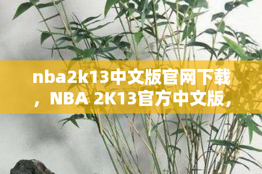nba2k13中文版官网下载，NBA 2K13官方中文版，经典篮球游戏的中文盛宴