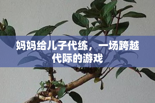 妈妈给儿子代练，一场跨越代际的游戏