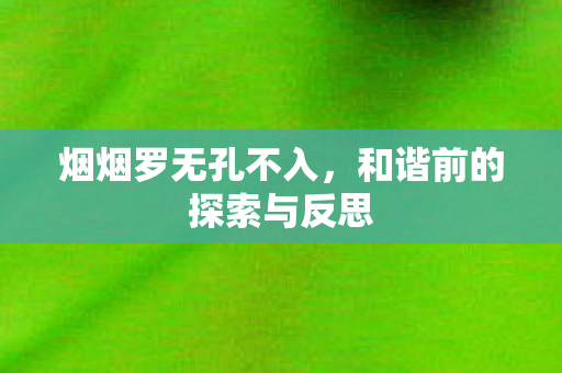 烟烟罗无孔不入，和谐前的探索与反思